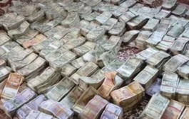 जमीन के नीचे मिला नोटों का खजाना, ड्रमों में करोड़ों की नकदी, 60 करोड़ की आशंका